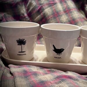 Rae Dunn White Ceramic Mini Planter Set with Tray